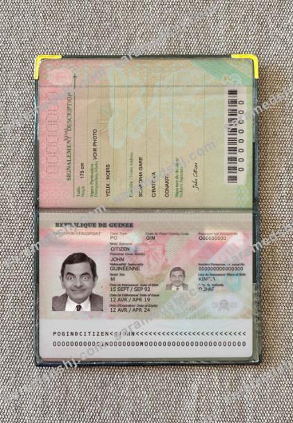Guinea passport (2018-present) photo look